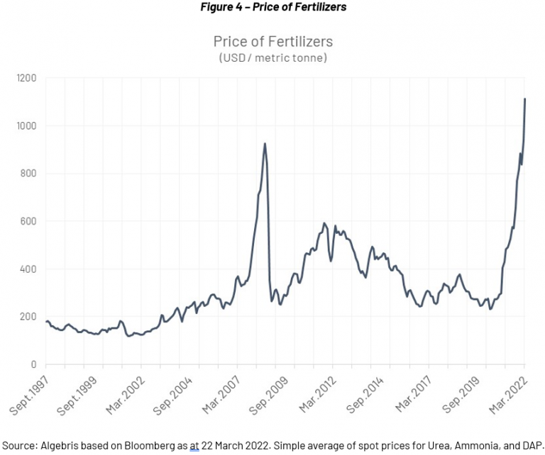 War and Grains Impact of UkraineRussia conflict on food security and